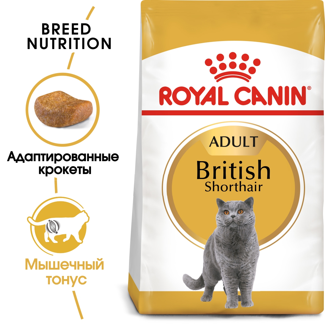 1_RC-FBN-BritishSH-MV-Eretailkit_-ru_RU_page-0001