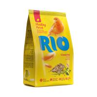 RIO_feed_canaries_mp_face