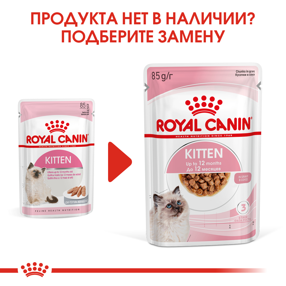 zamena_KITTEN (паштет)