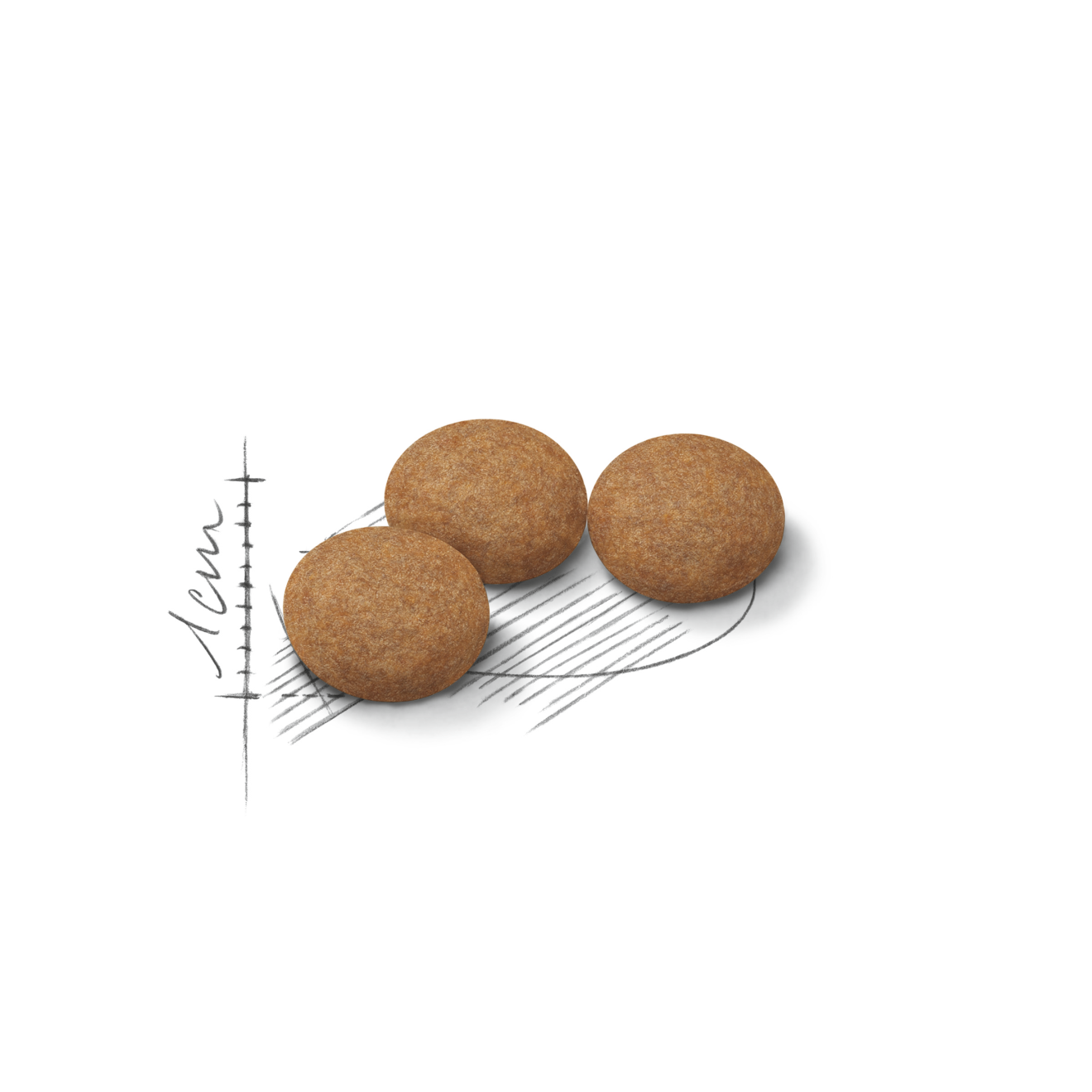 5_16-AGEING_STERILISED_12__Med._Res.___Basic_43114