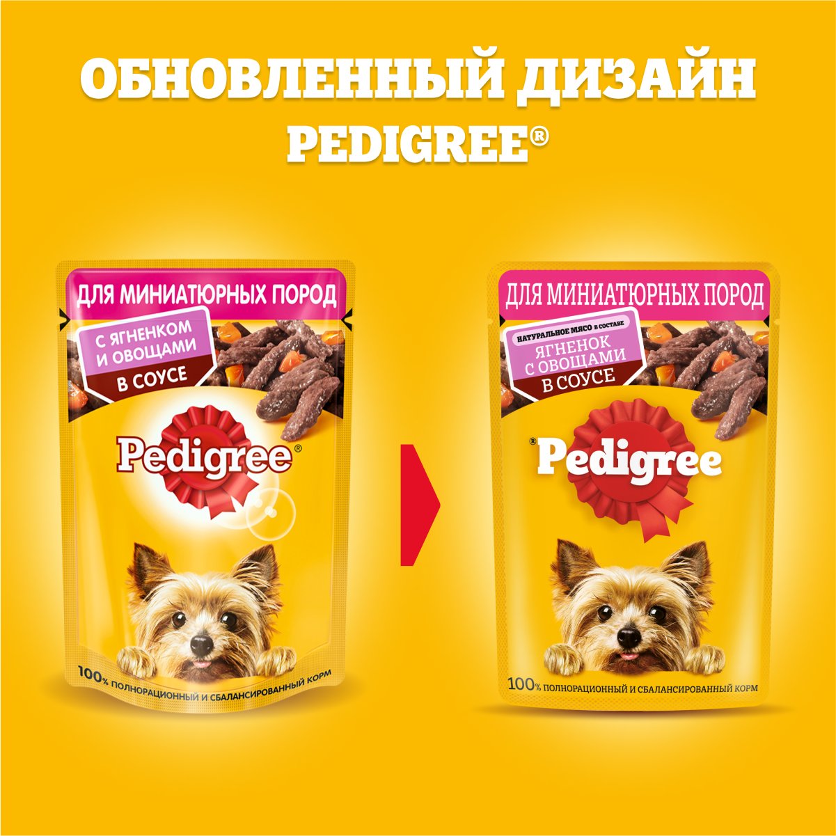 Влажный, миниатюрные породы, ягнёнок и овощи