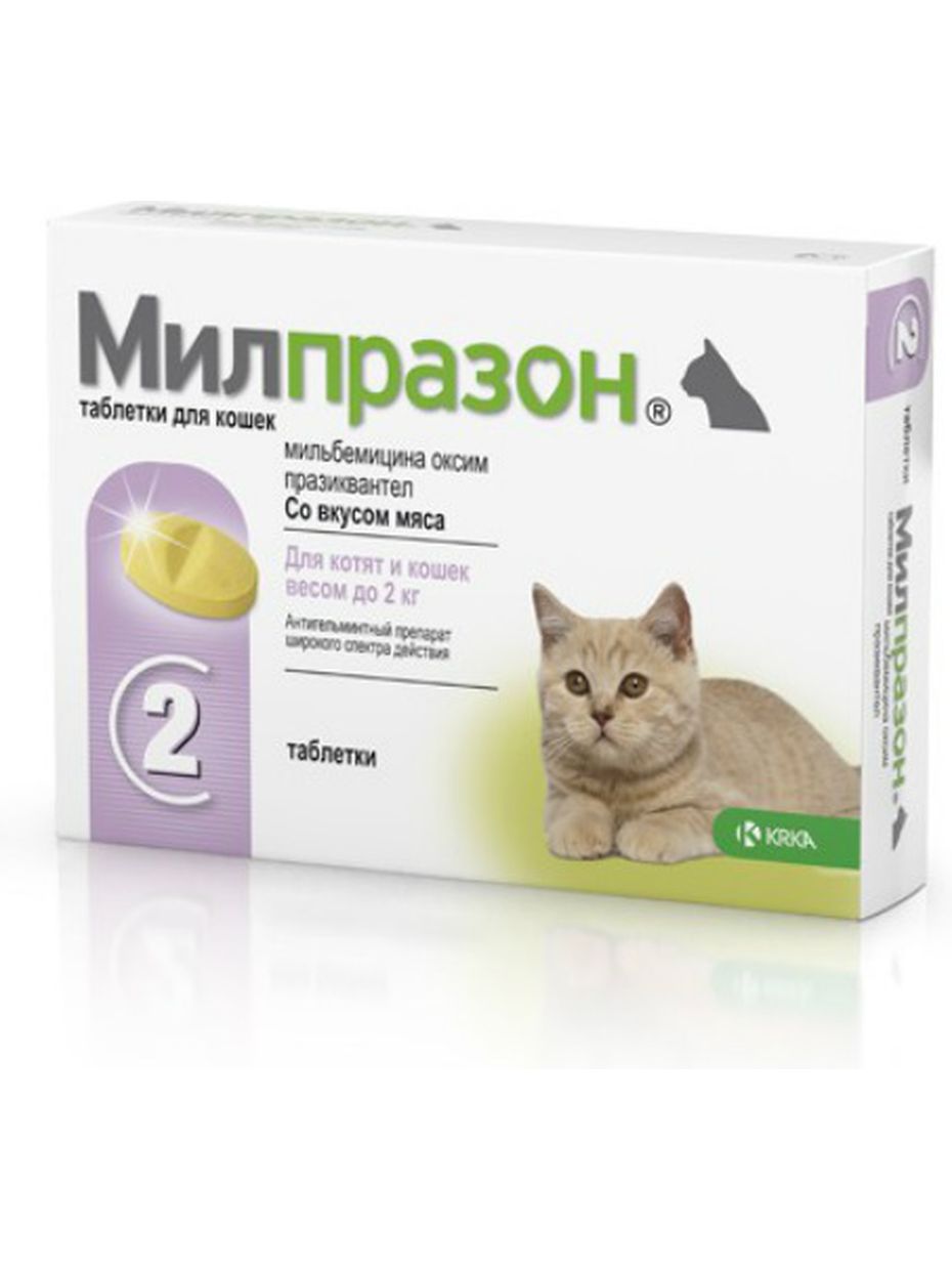 KRKA Милпразон для котят и кошек до 2 кг, от глистов, 4 мг/10 мг (2 таблетки)