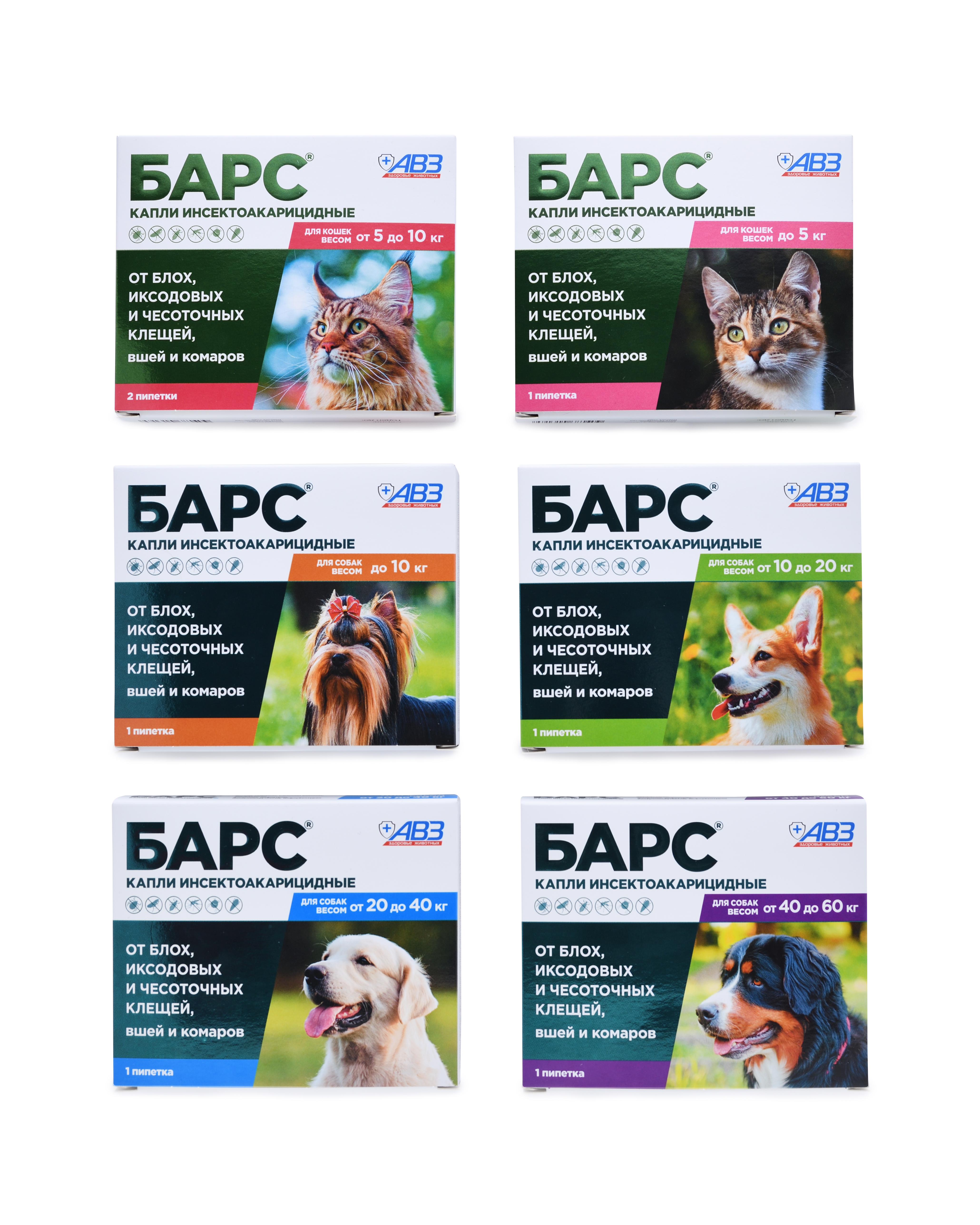 82490_A+