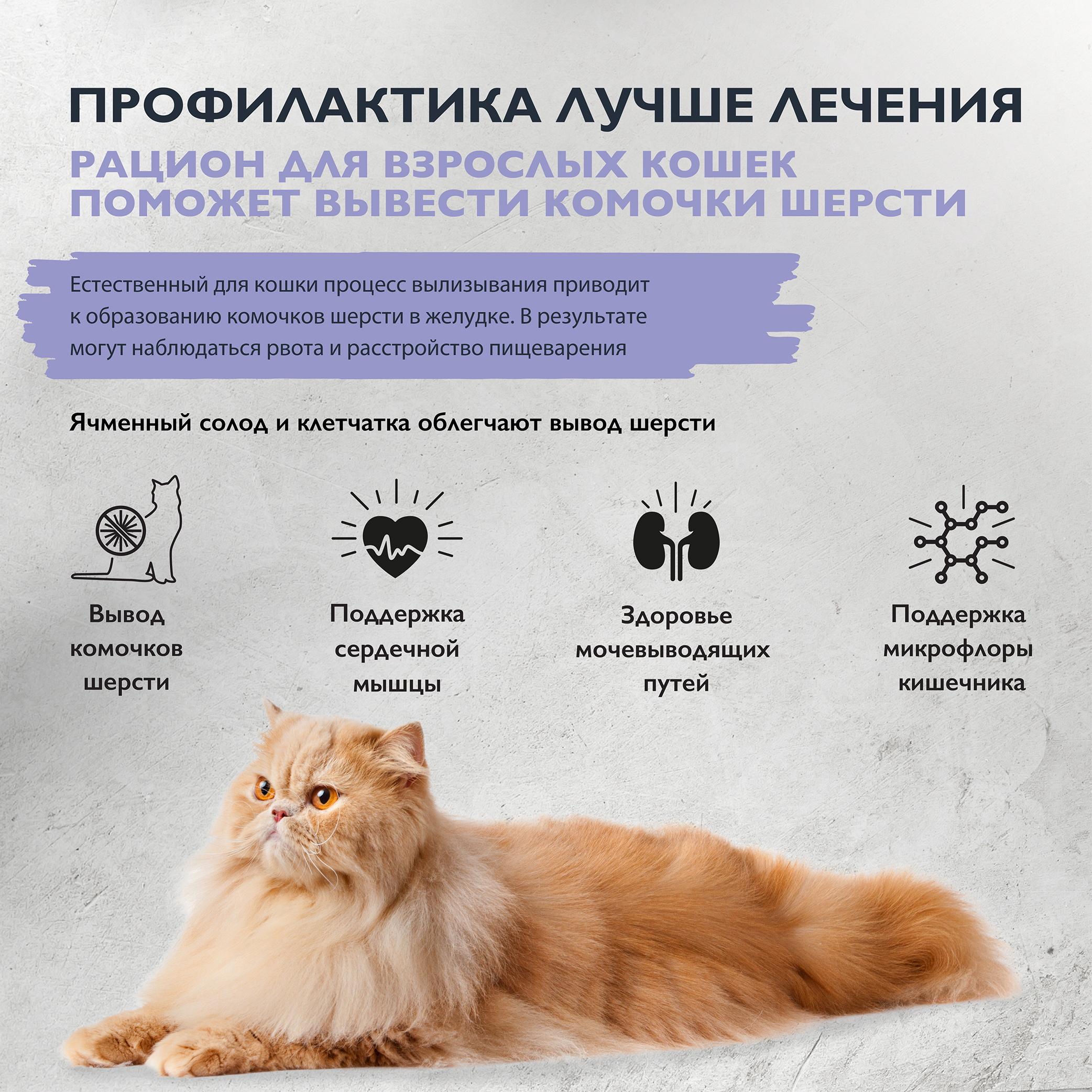 cat_anti_hariball (2)