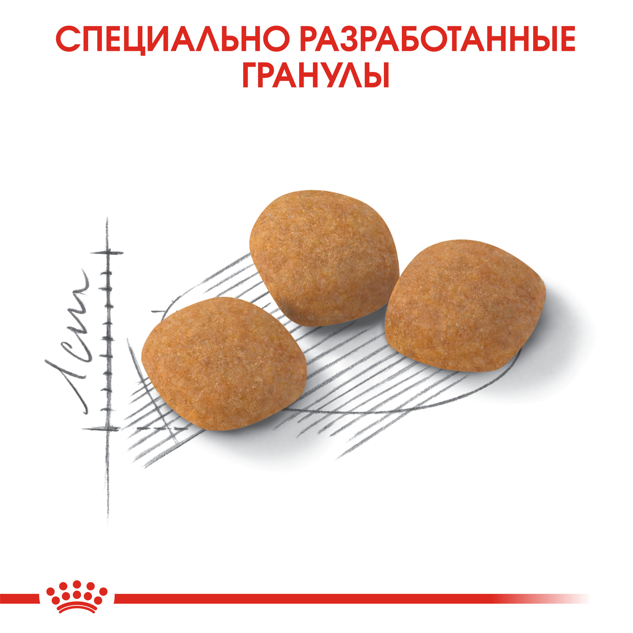 5_FHN-ProteinExigent-CV-Eretailkit-3-RUS-new