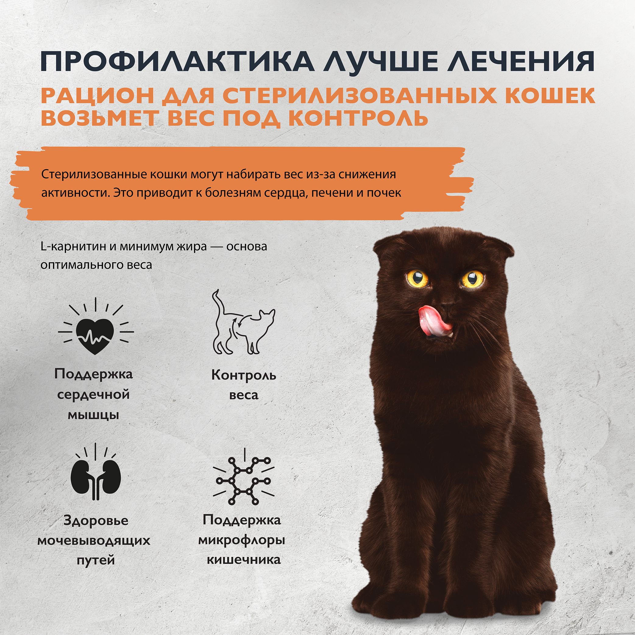cat_sterilised_weight_control-02
