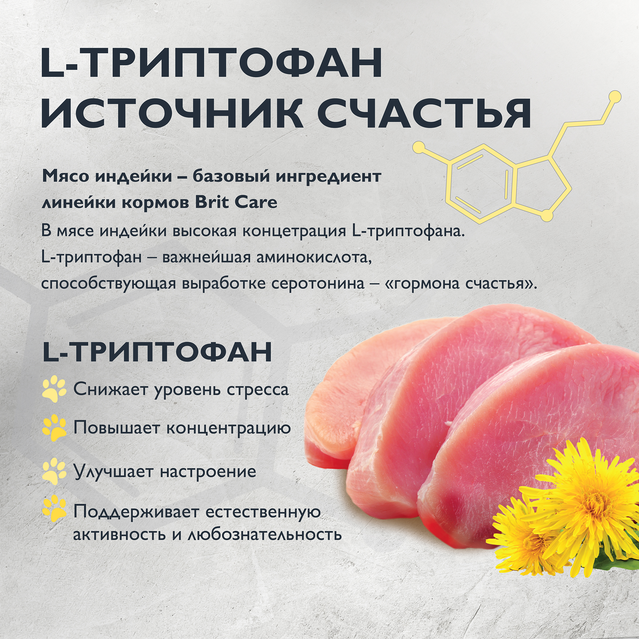 kitten_healthy growth-05