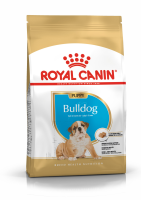 K_Bulldog Junior