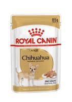breed-18-chihuahua-s-pouch-85