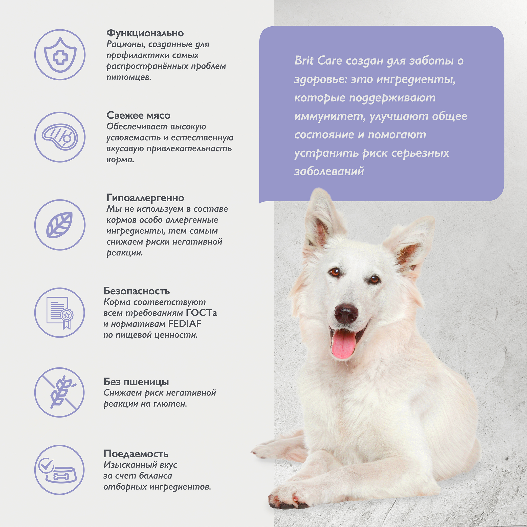 dog_adult_sensetiva_healthy_digestion_all breeds-03