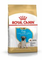 pu-pug-packshot-bhn18