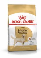 ad-labrador-packshot-bhn18