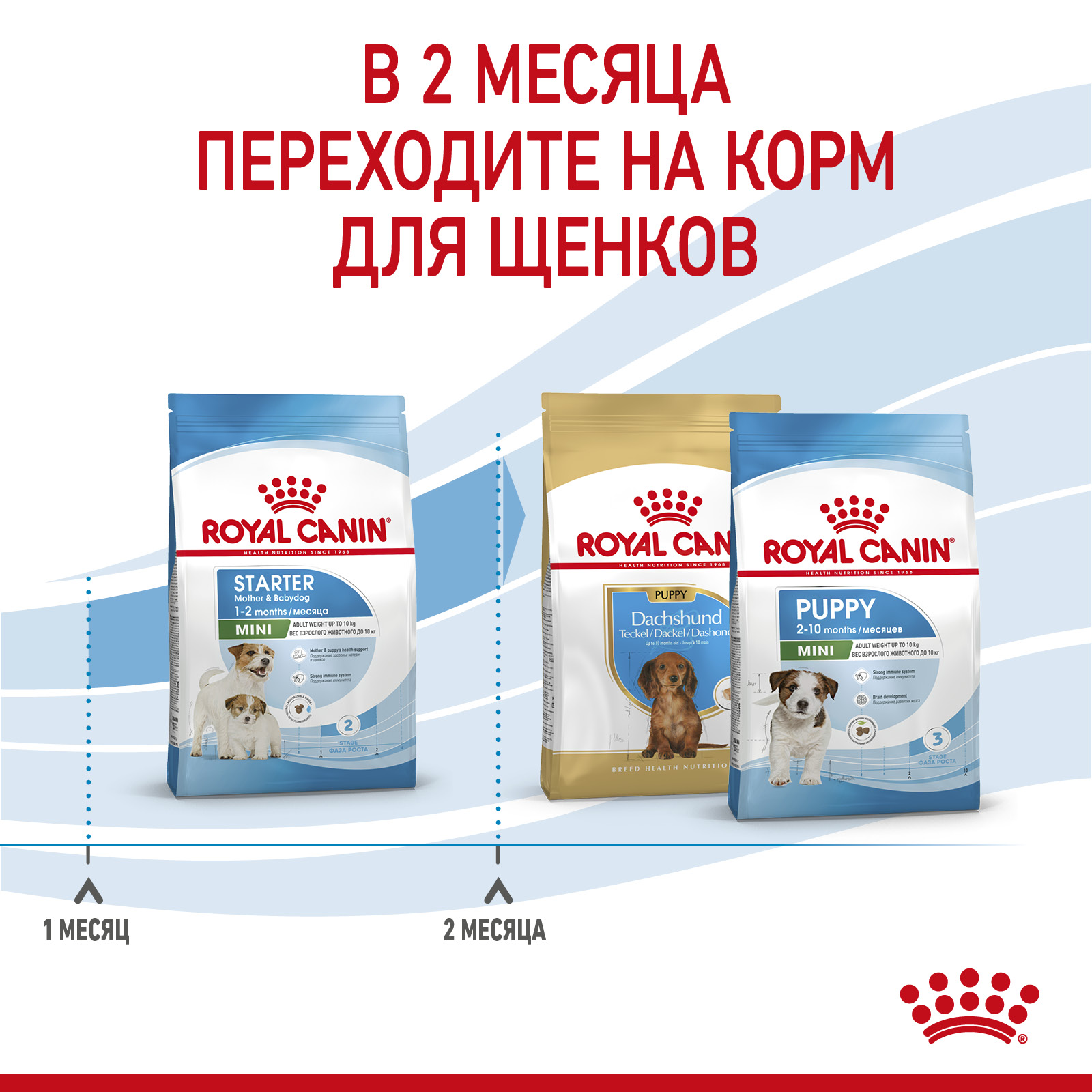RC-SPT-DRY-MiniStart-CV-5_rus2023