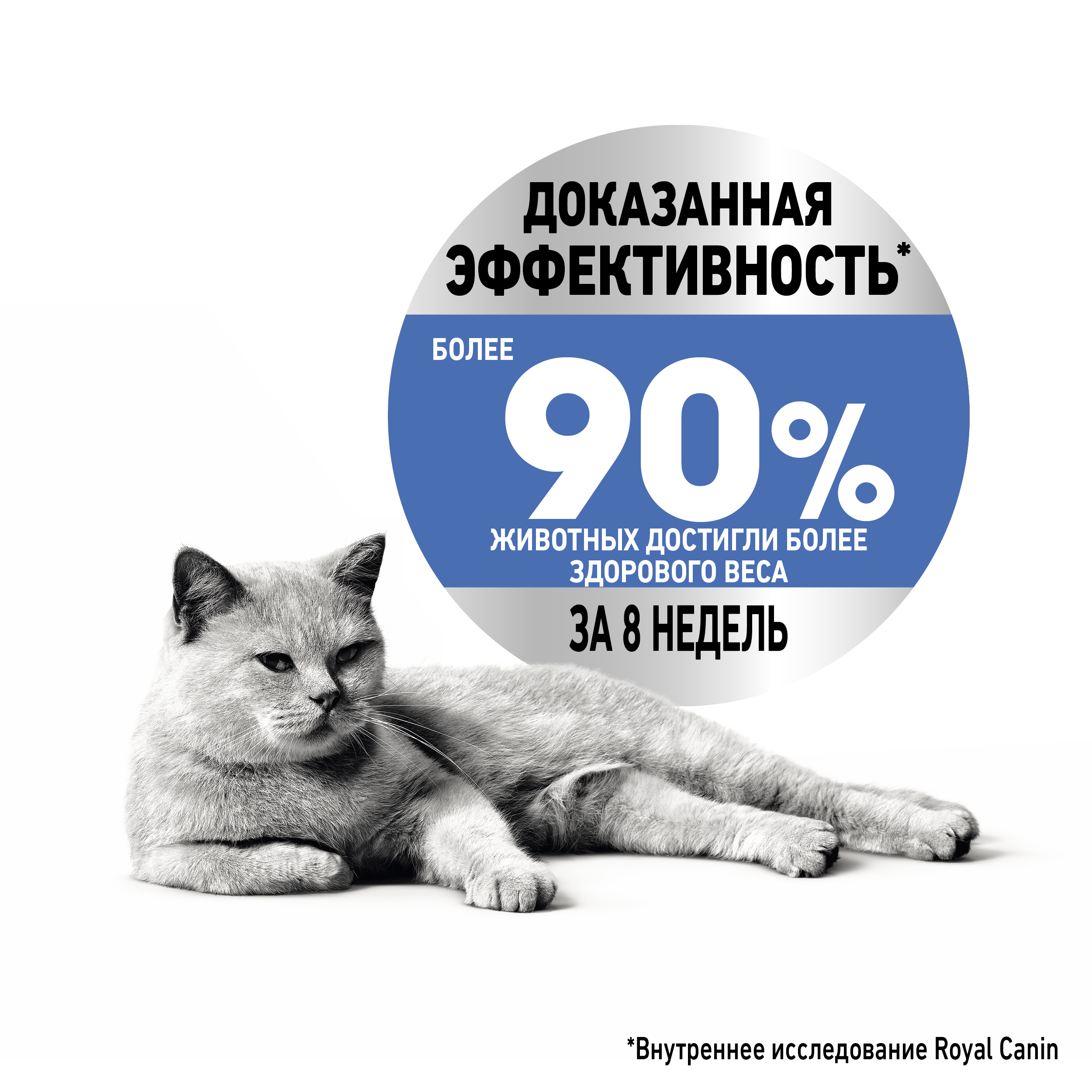 5_RC-SPT-DRY-LightWeight_rus4