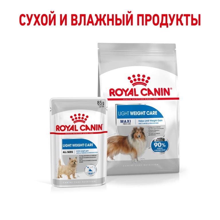 RC-SPT-DRY-LightWeightMAXI_rus6 (1)