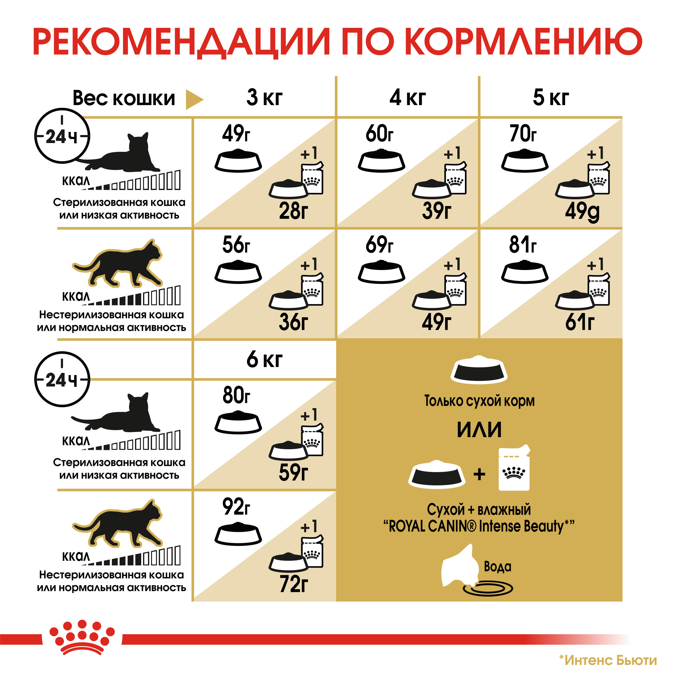 6_RC-FBN-Sphynx-CV-Eretailkit-5 RUS