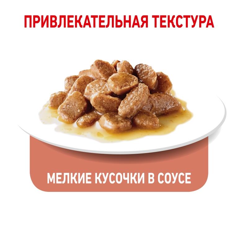 RC-SPT-WET-LightWeightGravy_rus5