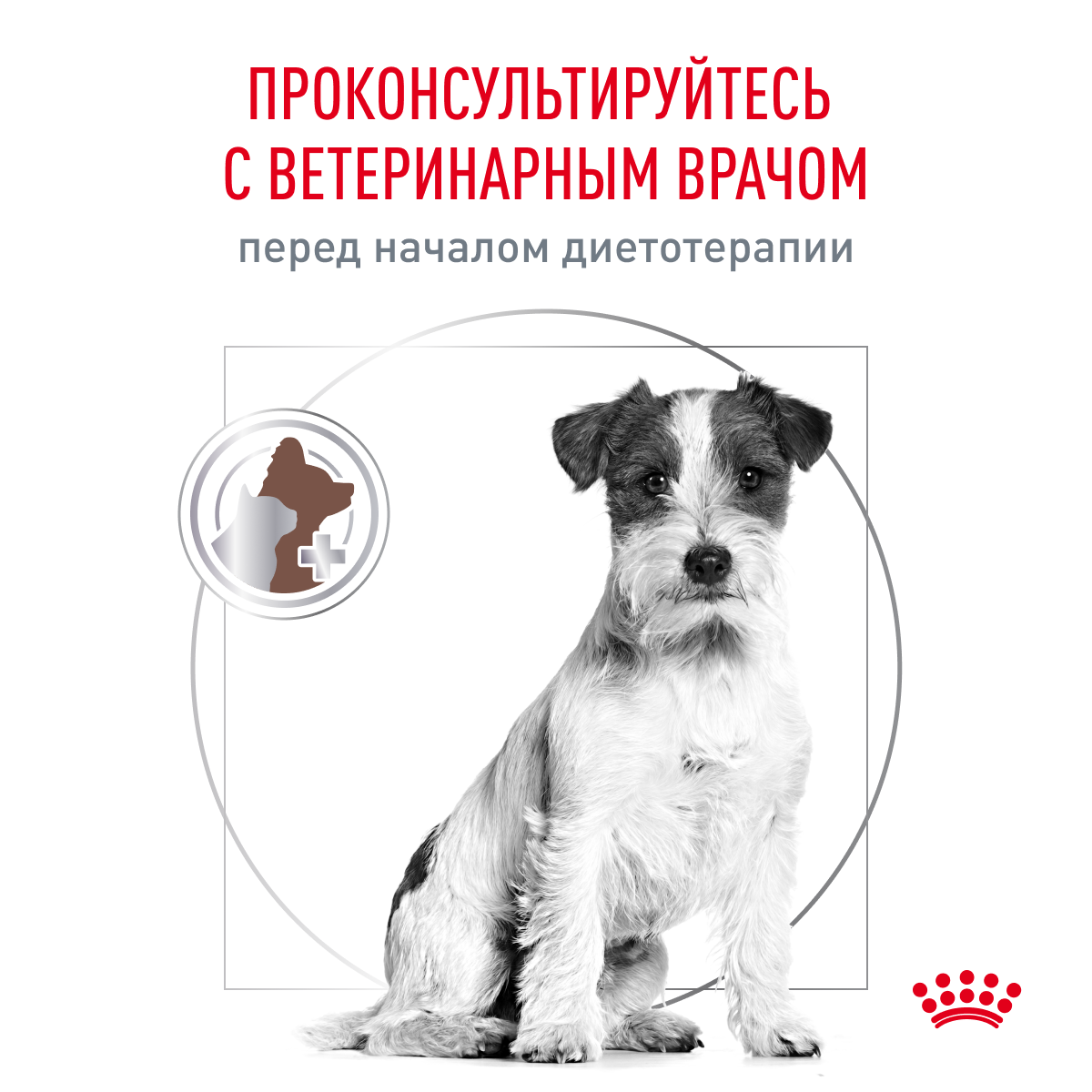 Dog_Gastrointestial_Dry_8