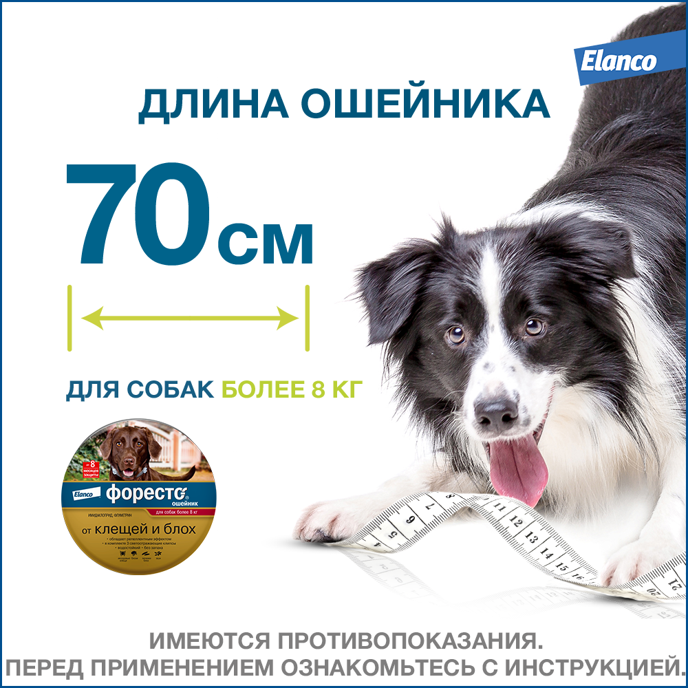 13.Foresto gold big dog_length