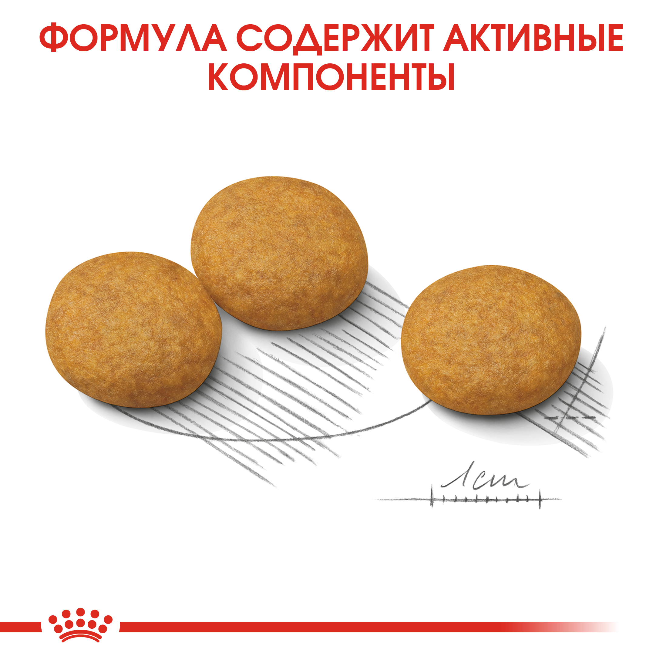 6_RC-CCN-DermaMed-CV-Eretailkit-5__ph