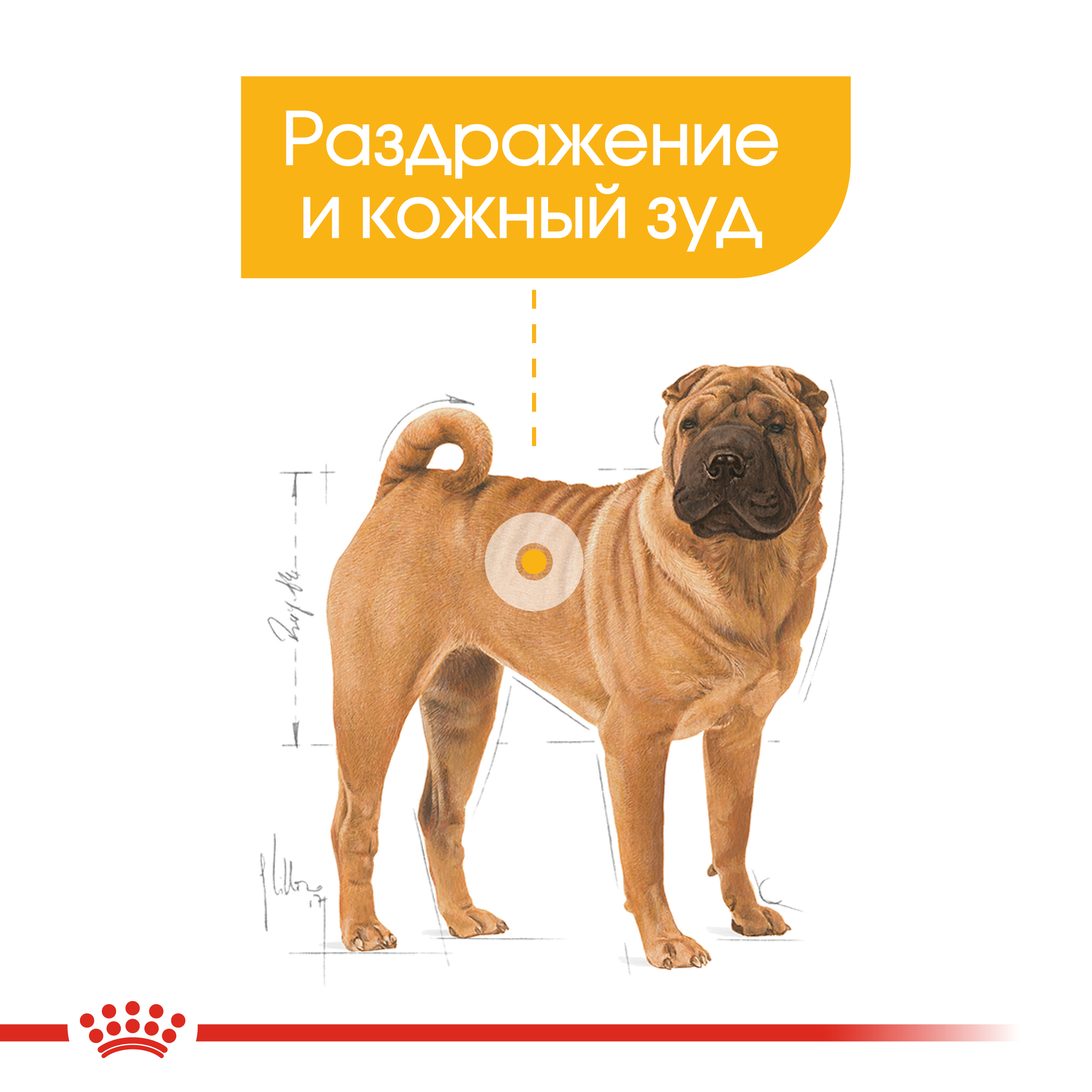 4_RC-CCN-DermaMed-CV-Eretailkit-2__ph