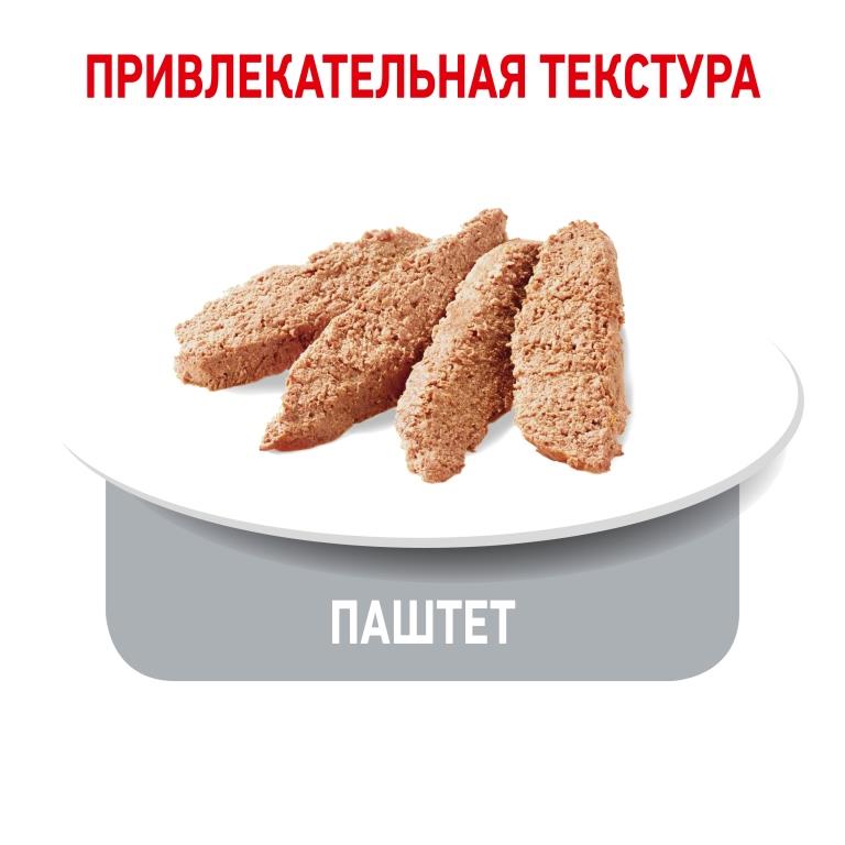 RC-SPT-WET-LightWeightAllSize_rus4