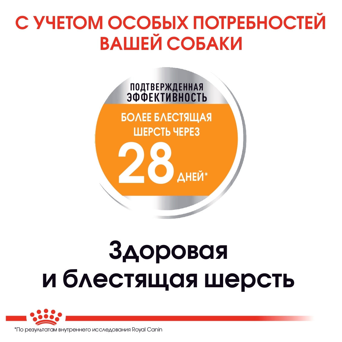 4_RC-CCN-CoatBeautyMini-CV-Eretailkit-2-pl_PL_Editable_Version_255575_rus_page-0001