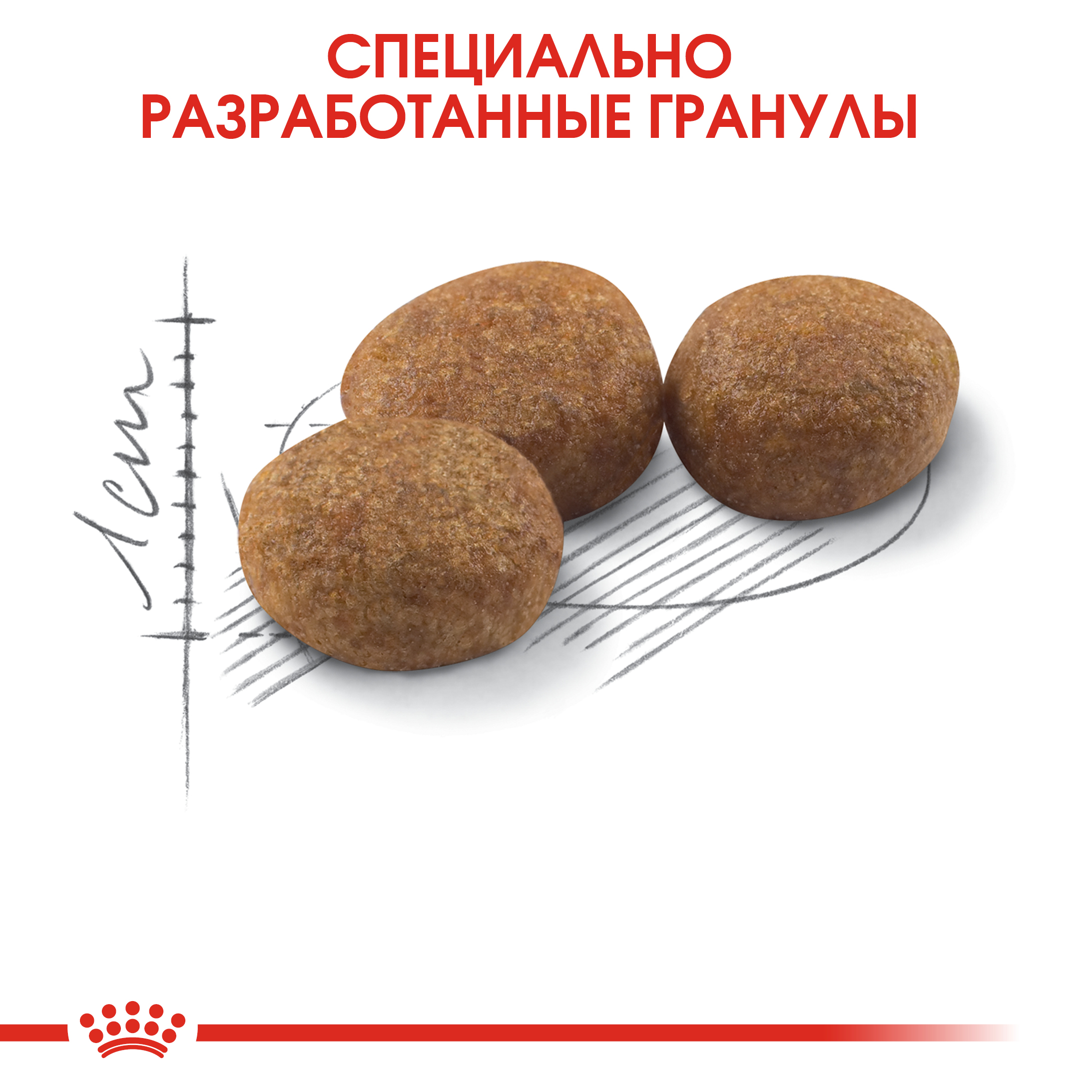 6_RC-FHN-Sterilised37-CV-Eretailkit-3__ph