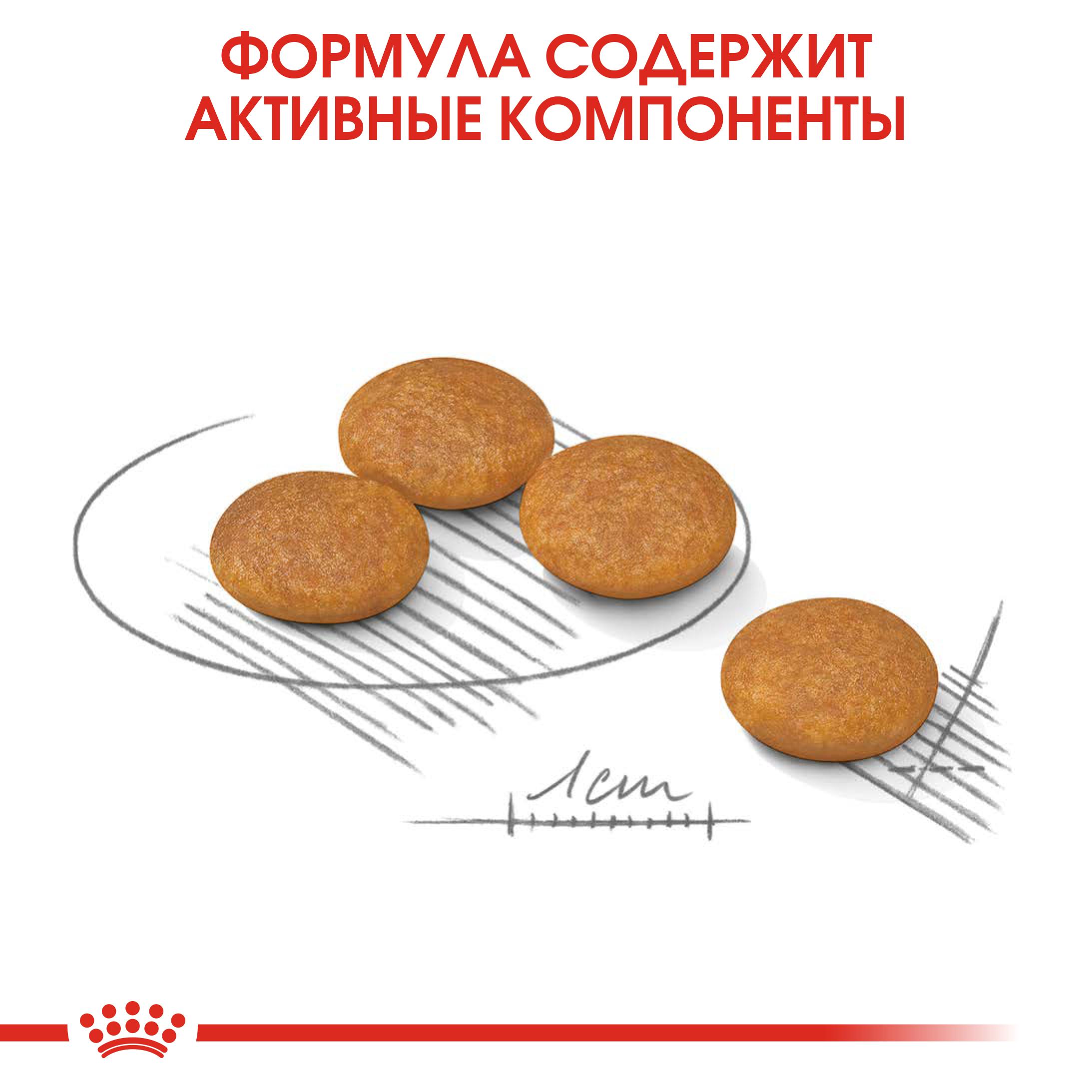 5_RC-CCN-DermaMini-CV-Eretailkit-5__ph