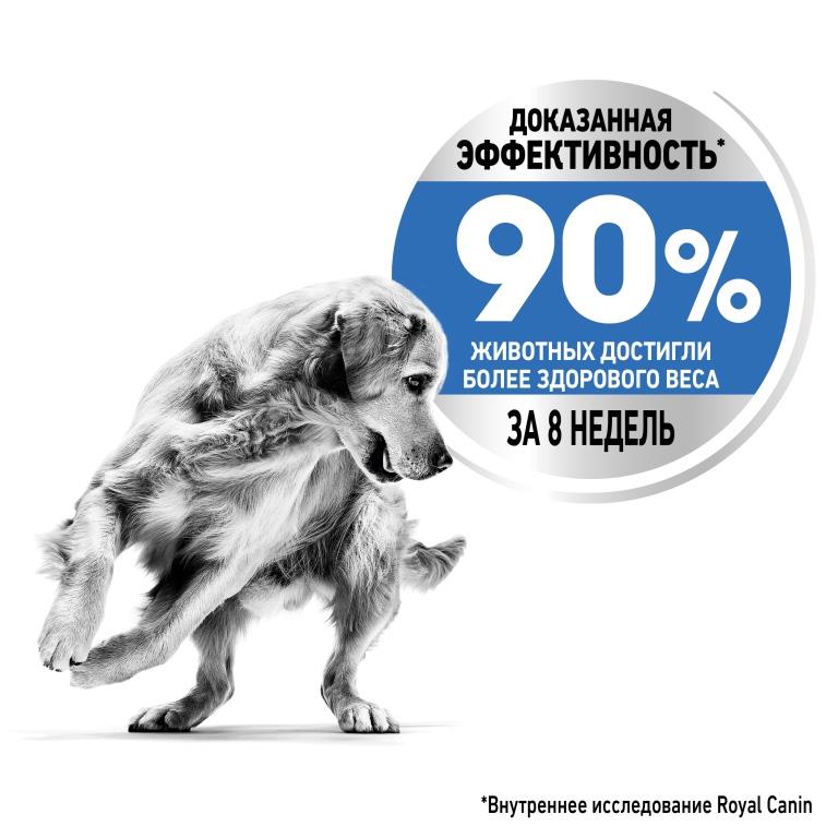 RC-SPT-DRY-LightWeightMAXI_rus4 (1)