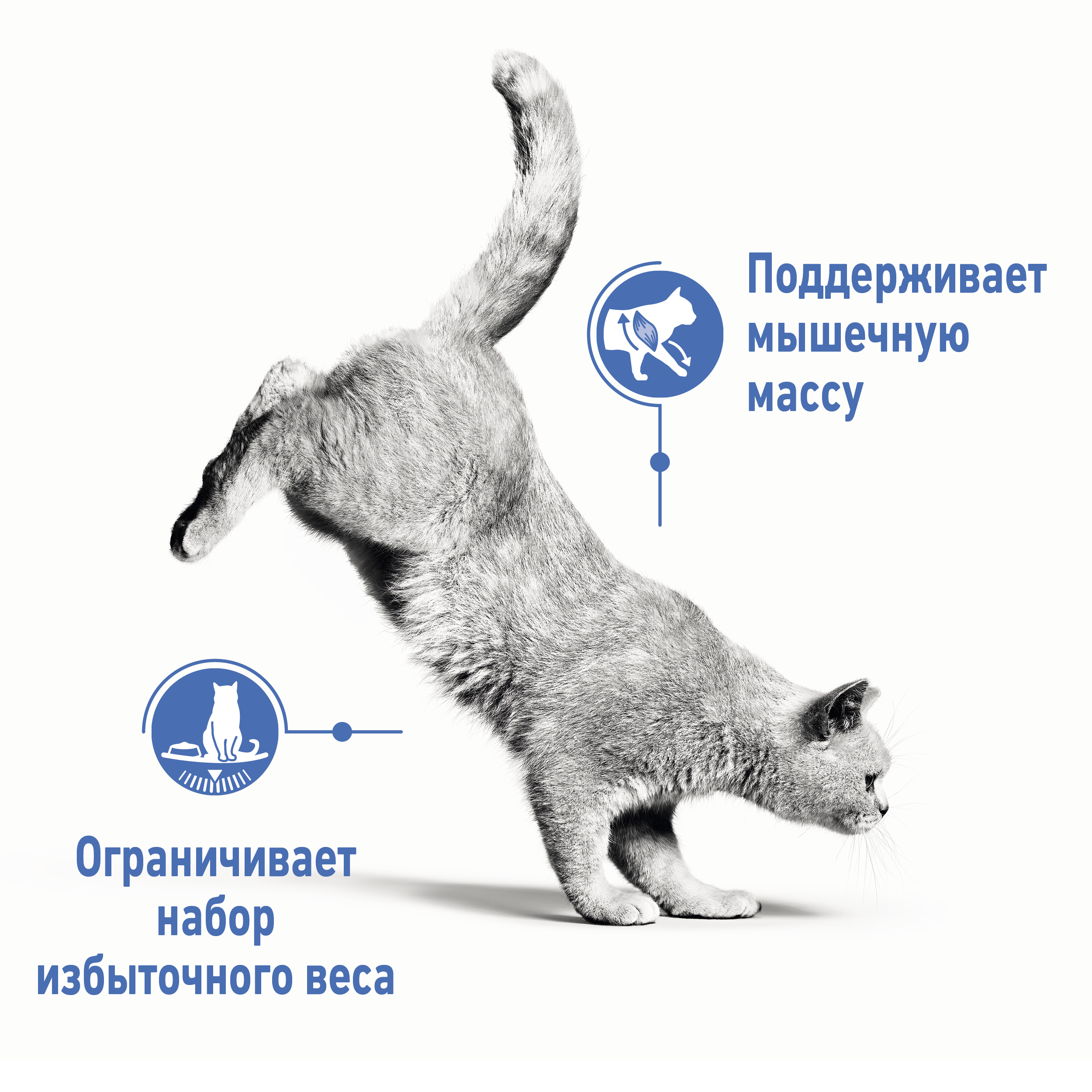4_RC-SPT-DRY-LightWeight_rus3