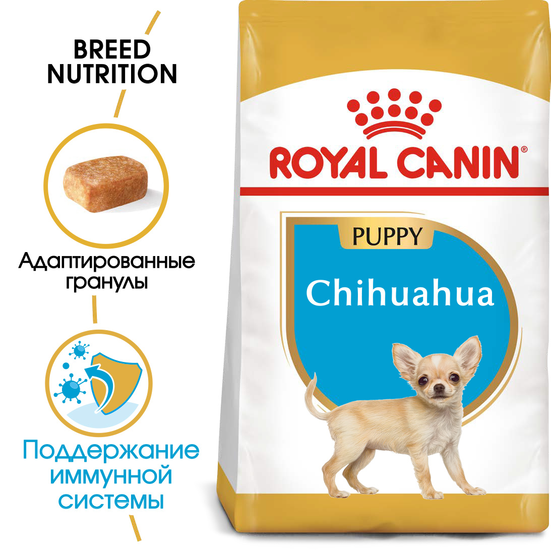 Чихуахуа Паппи_2