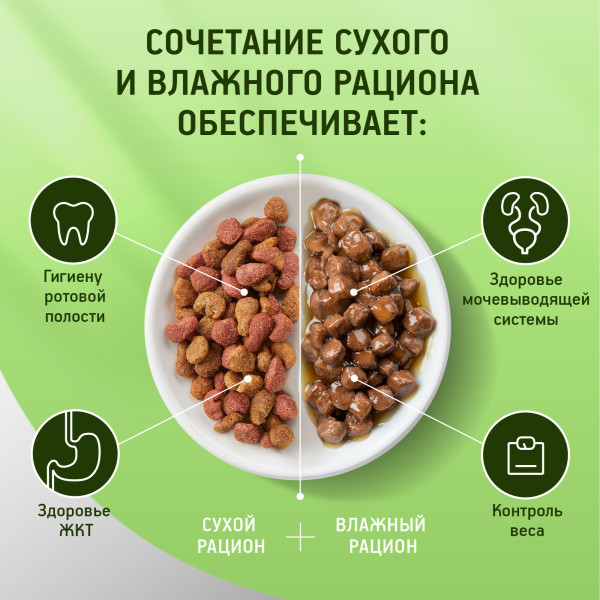 lj2rjq2ndqrynyyna7w0 (1)