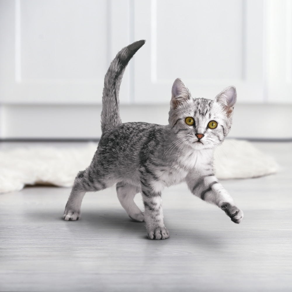 6b8d3fe3-48ac-40e5-b2e6-4da3229f22f9