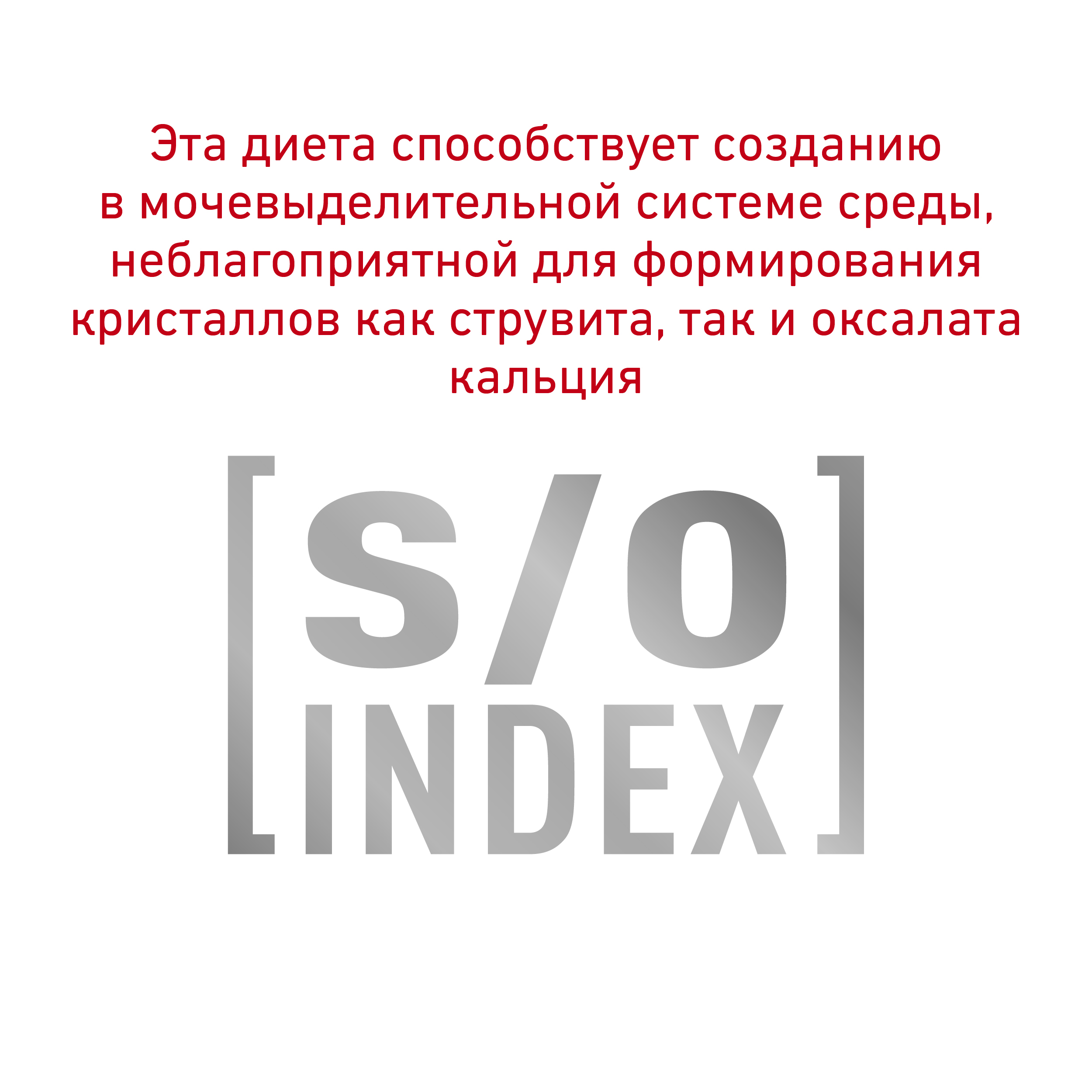 Уринари СО (собаки)_5