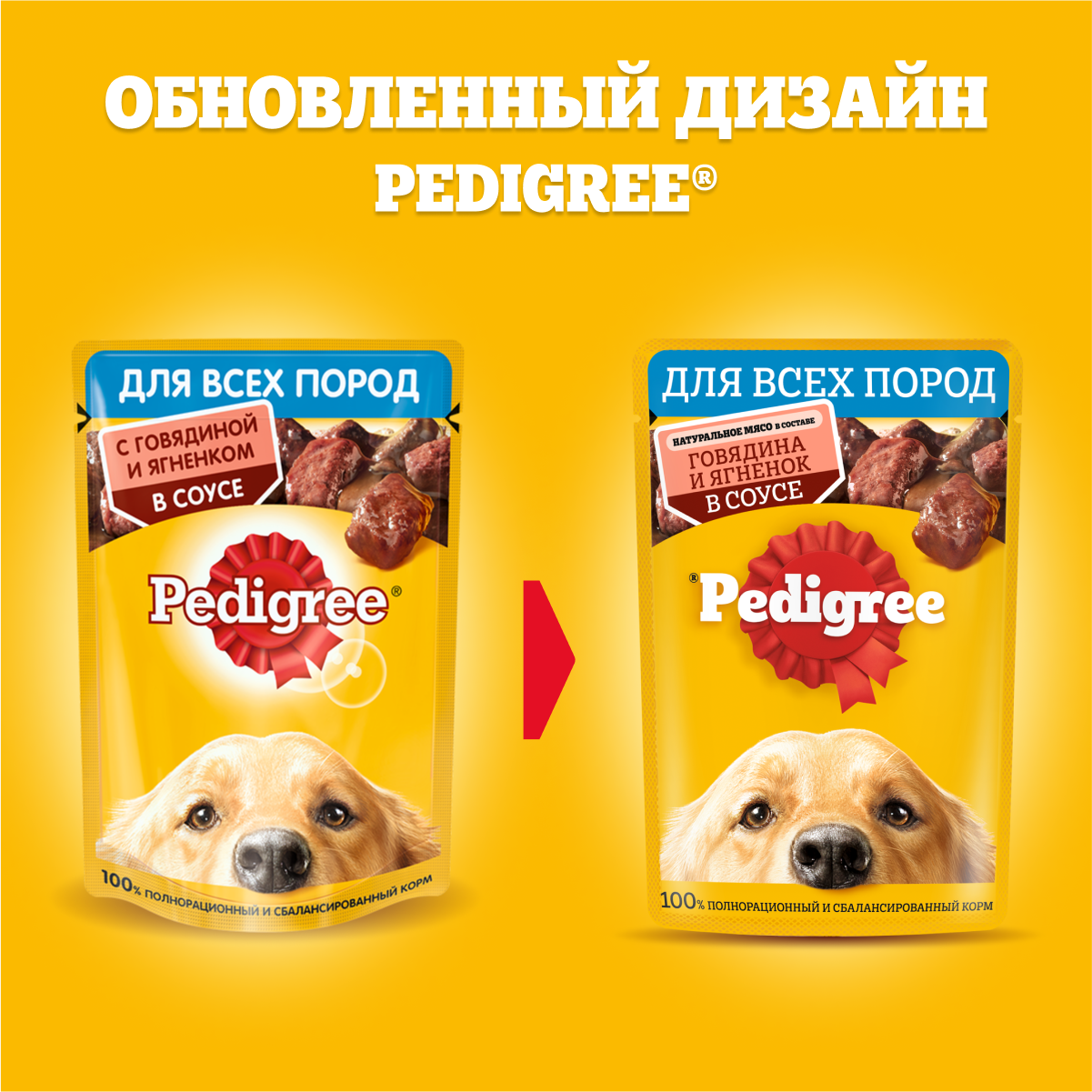 Влажный, для всех, говядина и ягненок