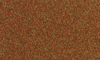 240568_unpacked_2