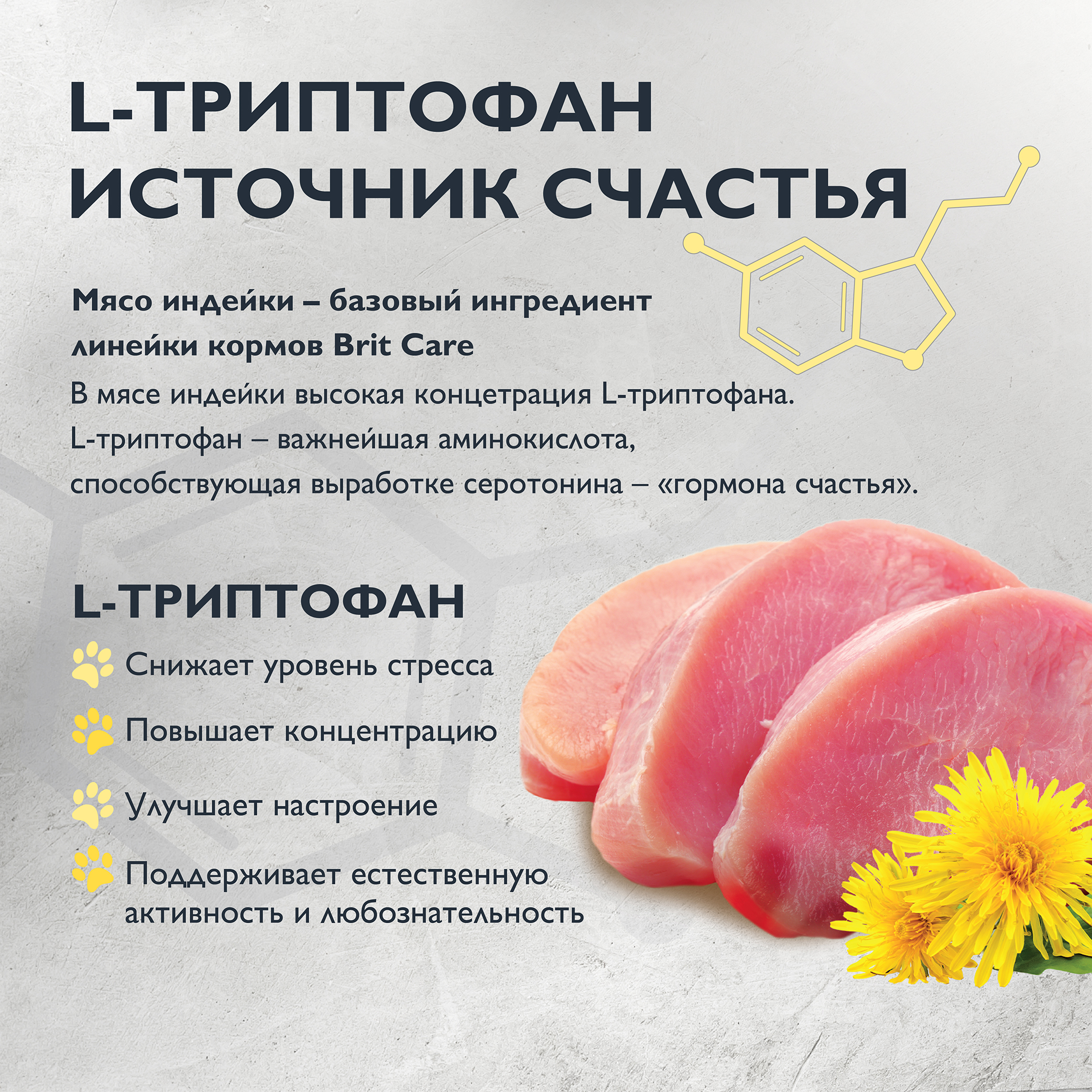 cat_adult_delicious_taste (5)