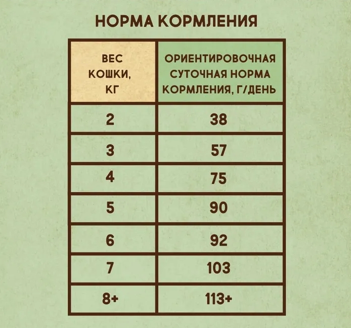 2bc7c5b58d
