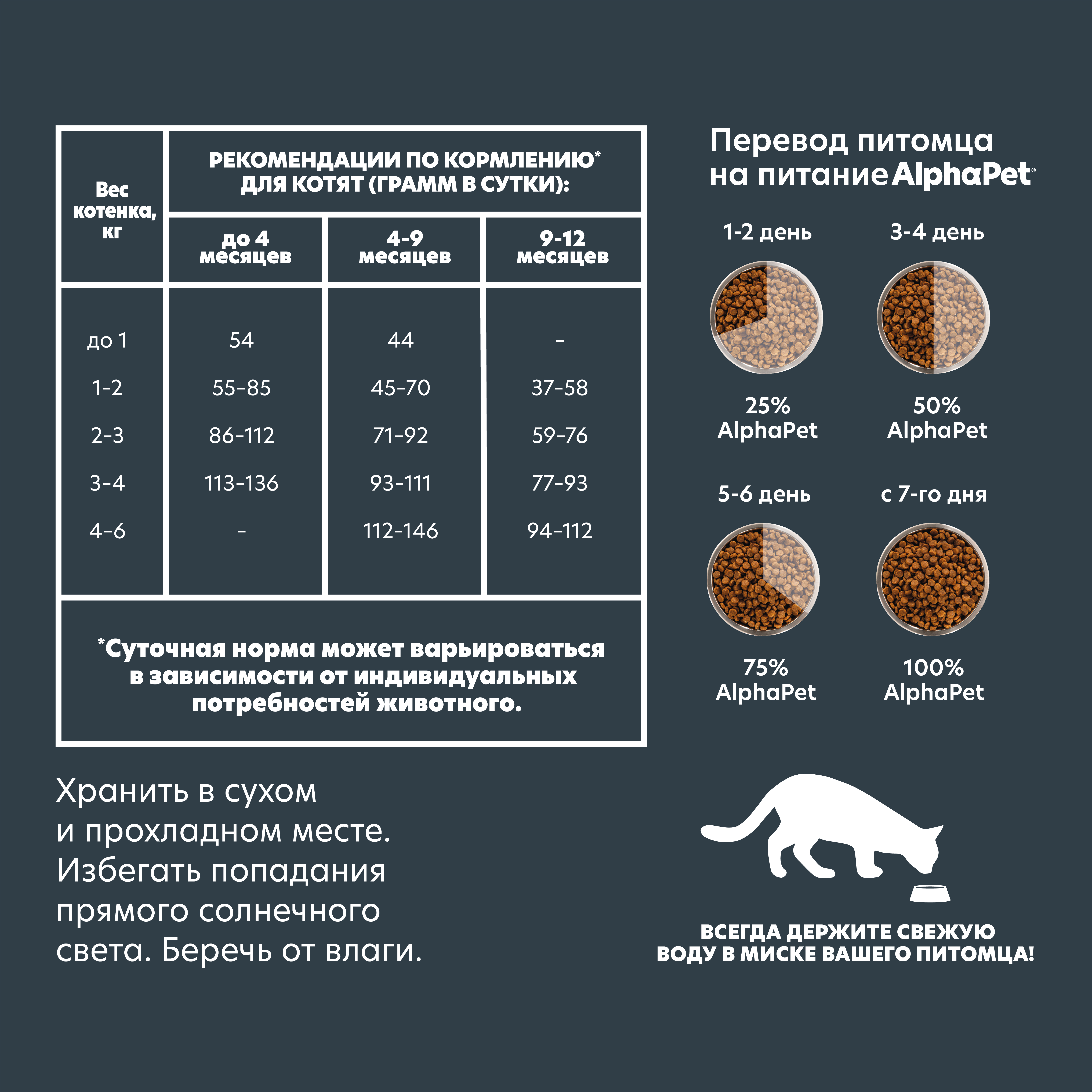 для котят-1-1