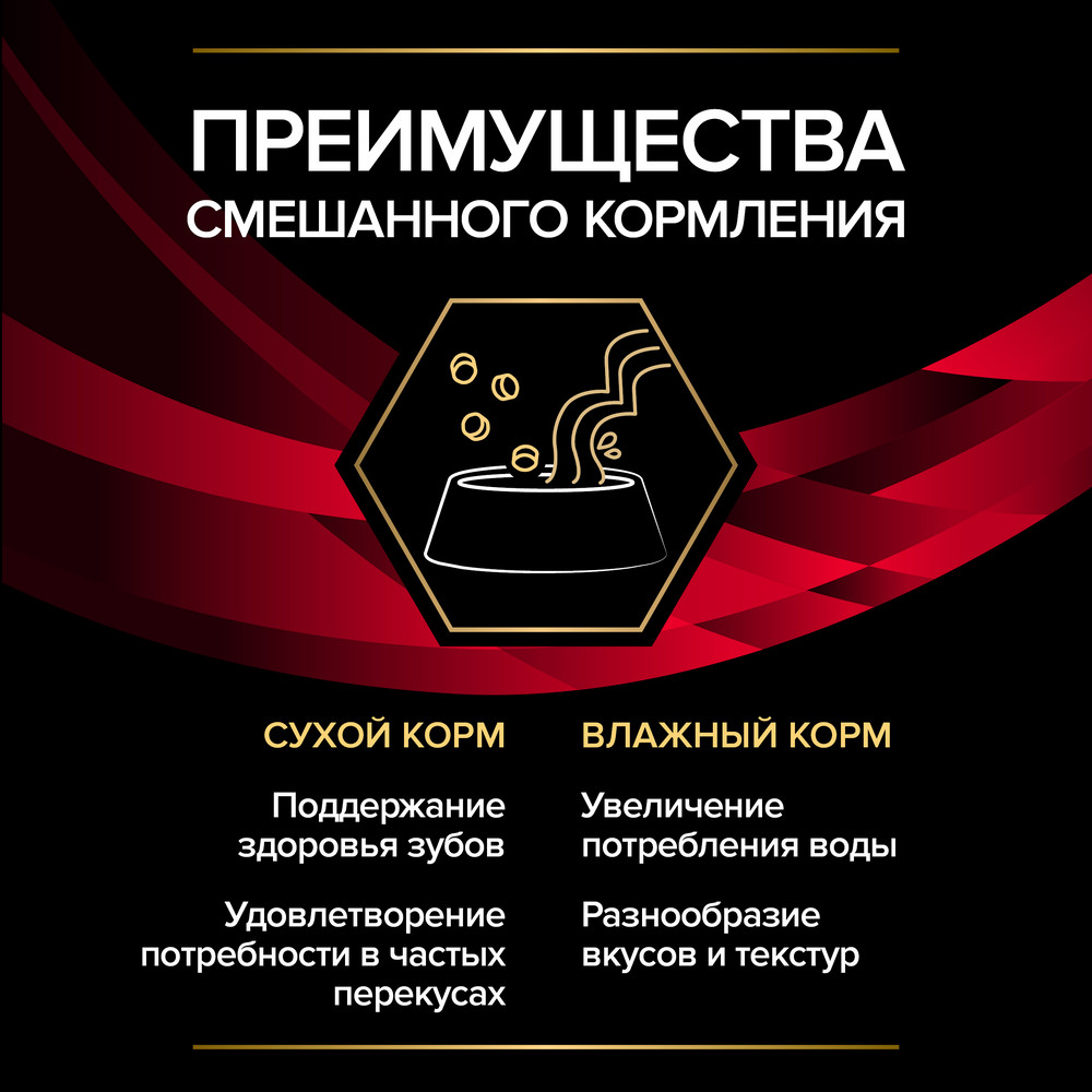 1ac9b493-5a93-4859-aa44-83fd6a9c81dd