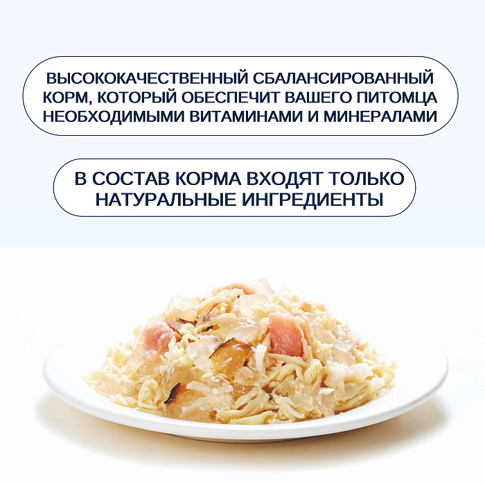 919c9de544048384a4973456bdd7fbbe