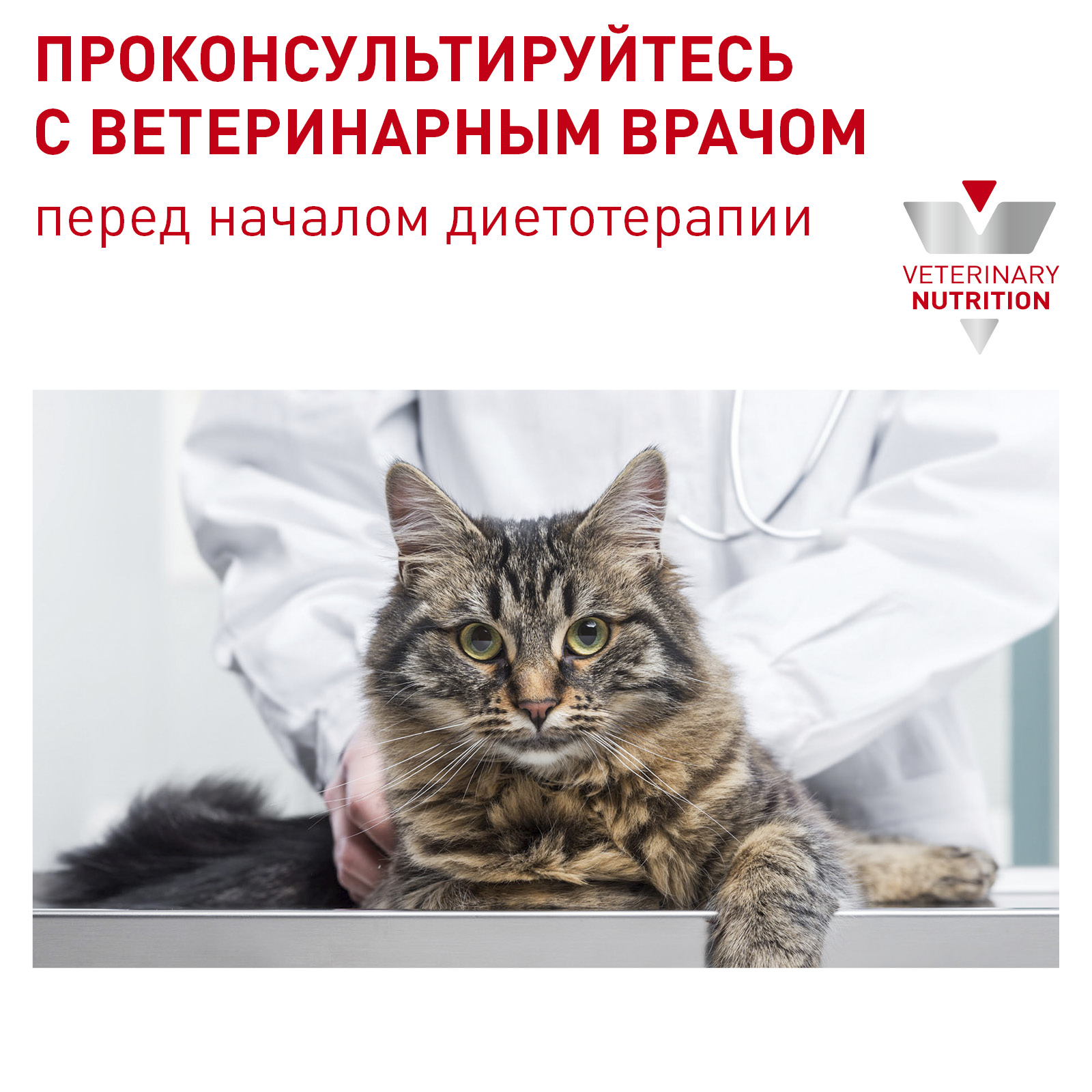 DRY-CAT-NEUT SAT BAL_2023_7