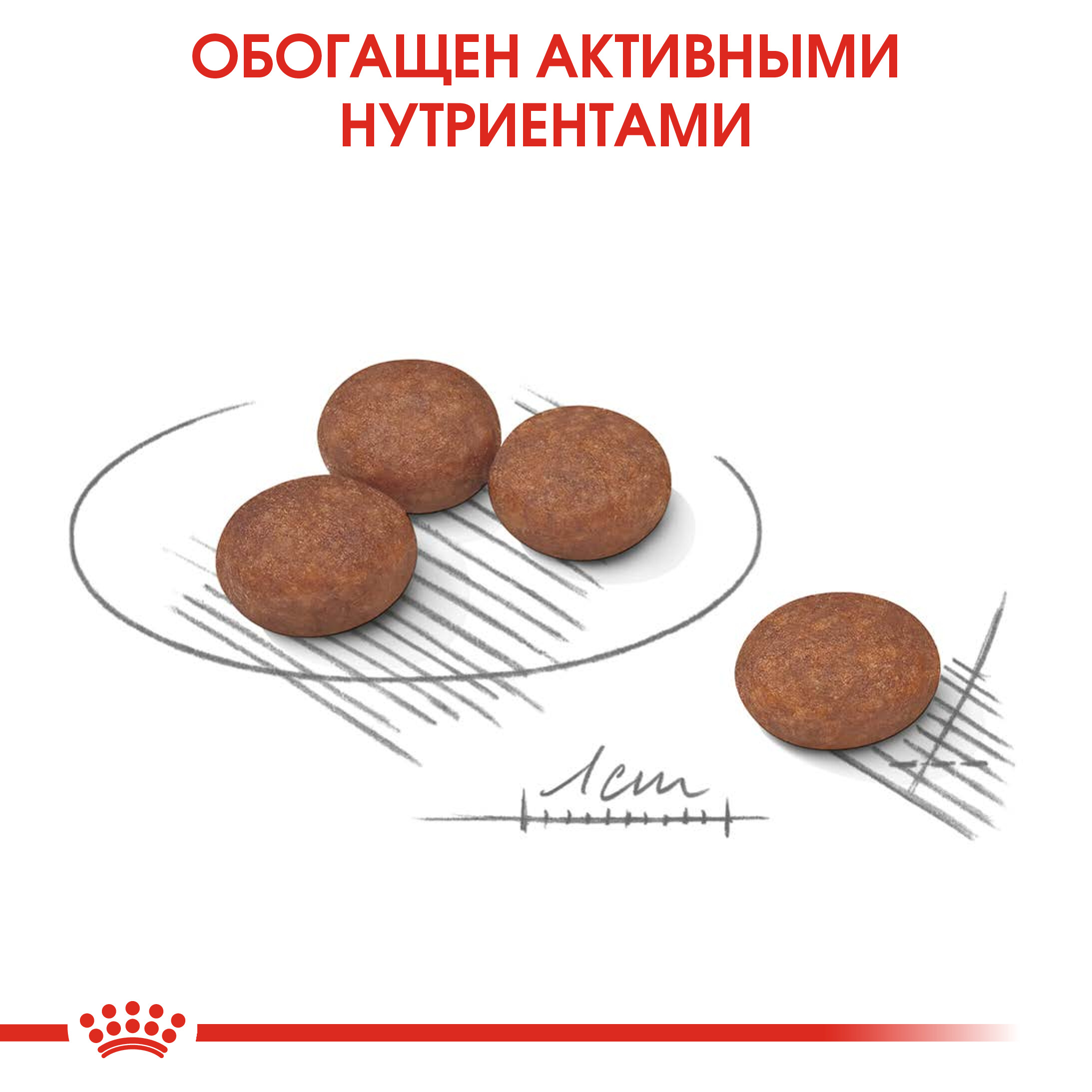 5_RC-CCN-DigestiveMini-CV-Eretailkit-5__rus