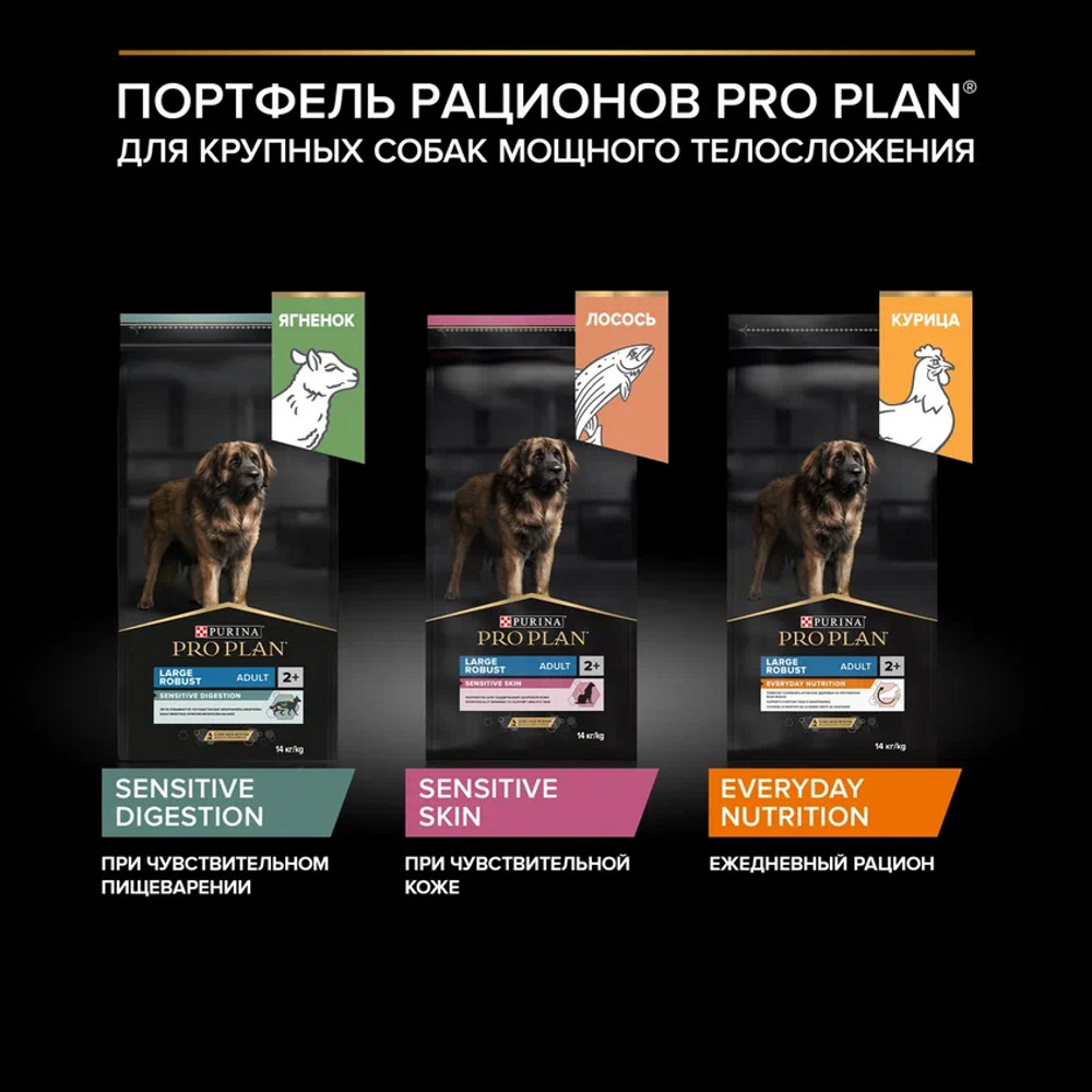 2c16481d-9a5d-47c1-83ee-af7d85a88cba