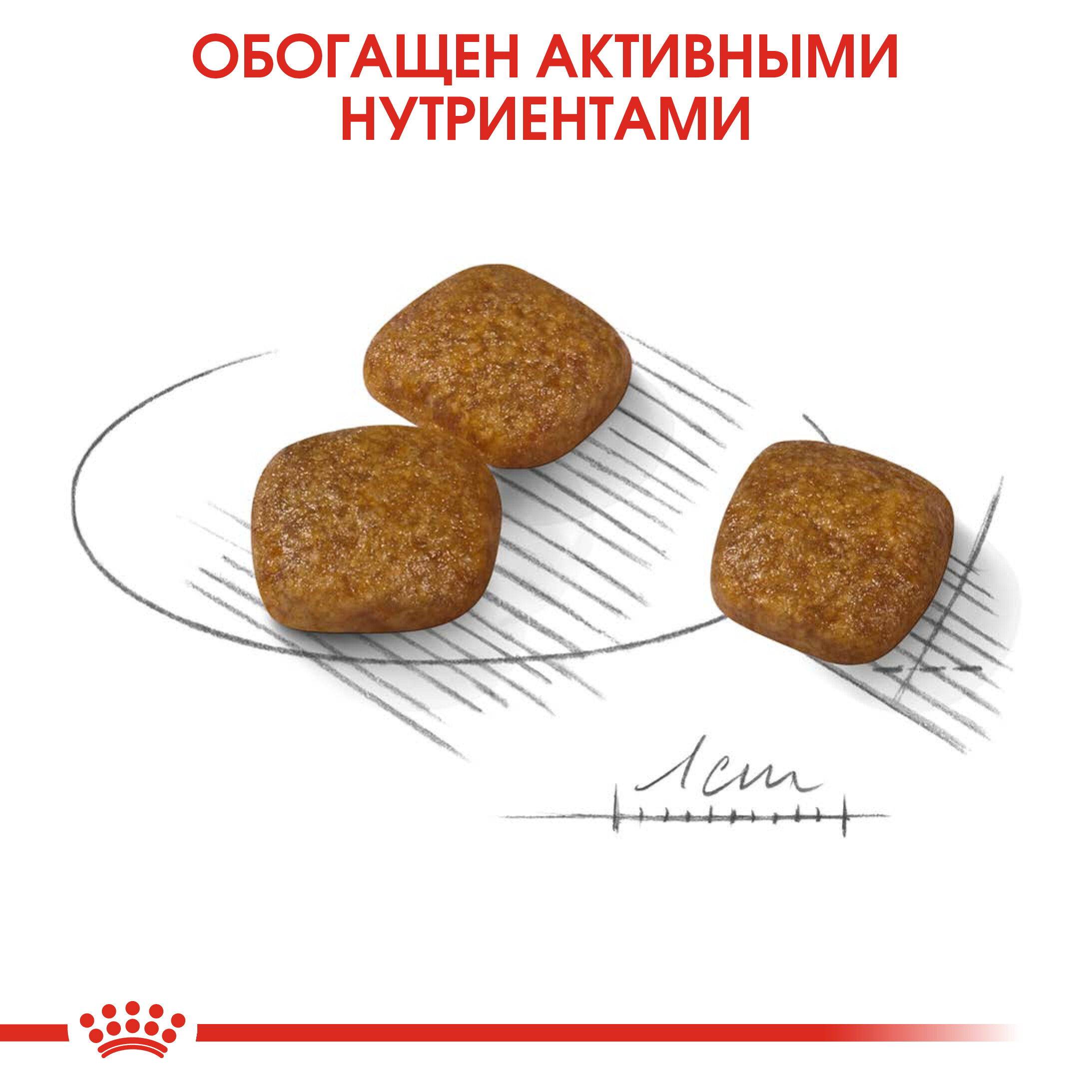 5_RC-CCN-UrinaryMini-CV-Eretailkit-4_rus_
