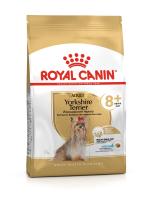 Yorkshire_Terrier_Adult_8_