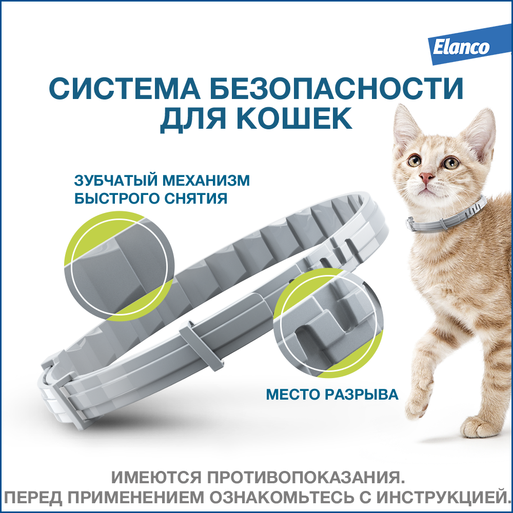 13.Foresto gold cat_safe collar