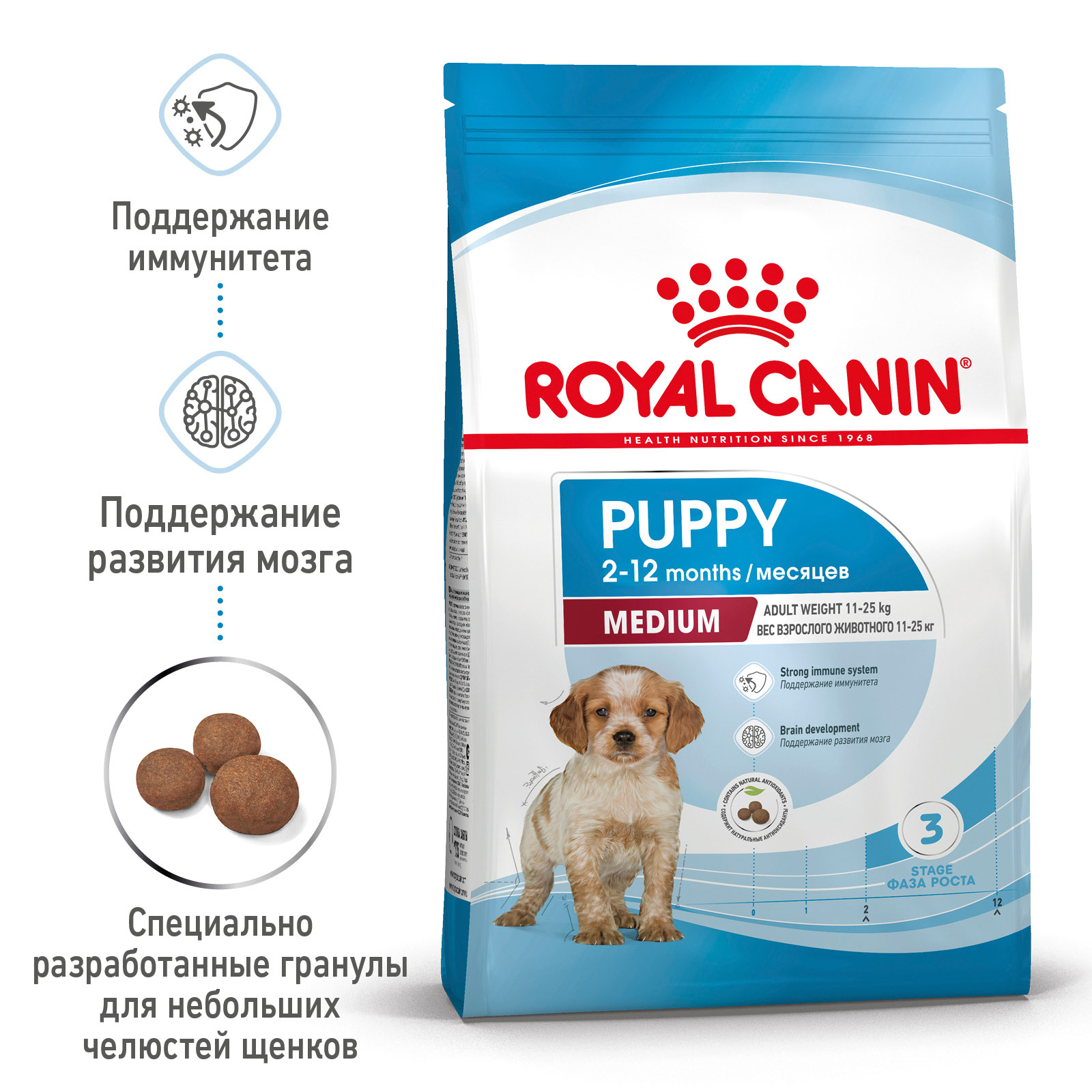 1 m puppy