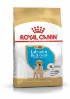 pu-labrador-packshot-bhn18